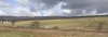 Panorama view of wind turbines